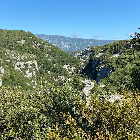 Cote Chenes Verts - D'hotes Bed & Breakfast Viols-en-Laval