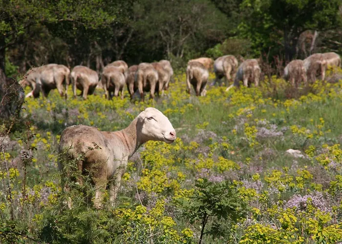 B&B Cote Chenes Verts - D'hotes